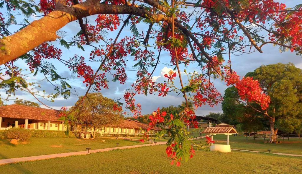 Sertao Veredas Hotel Fazenda Paraopeba Ngoại thất bức ảnh